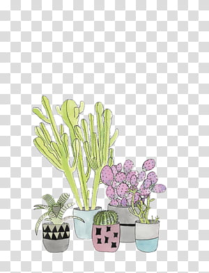 Hand Drawn Cactus PNG Transparent, Hand Drawn Cartoon Succulent And Cactus  Elements, Cactus, Hand Painted, Cartoon PNG Image For Free Download