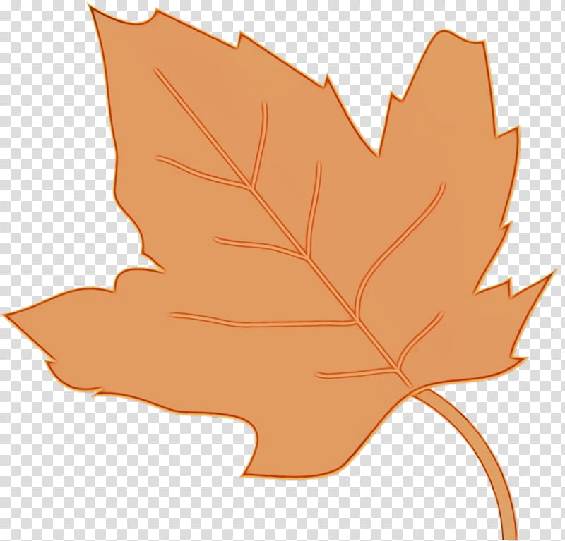 Autumn Leaves Drawing, Leaf, Autumn Leaf Color, Maple Leaf, Silhouette, Tree, Woody Plant, Black Maple transparent background PNG clipart