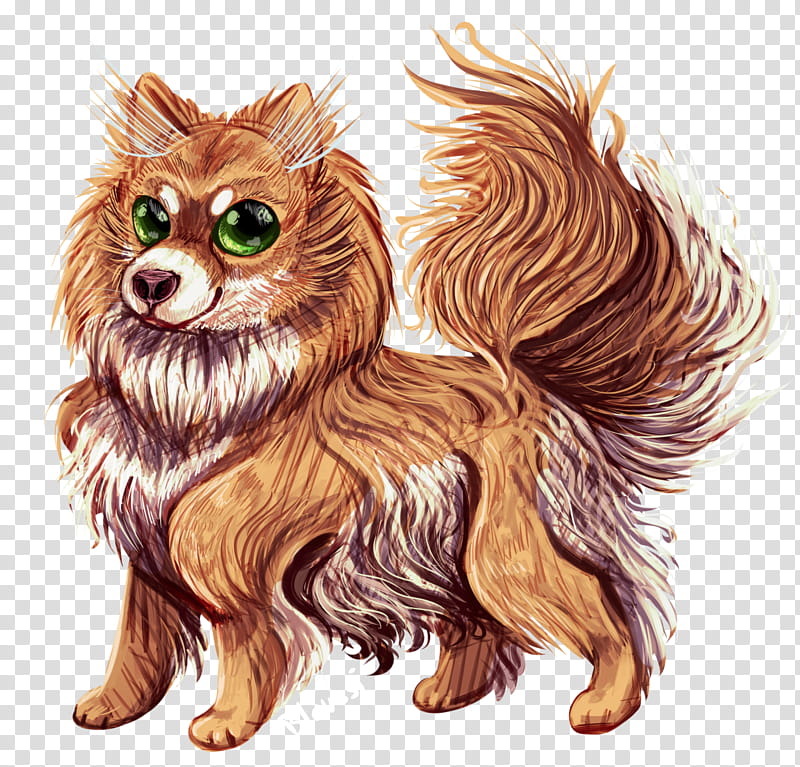 Fox Drawing, Pomeranian, RED Fox, Whiskers, Chicken, Snout, Breed, Paw transparent background PNG clipart