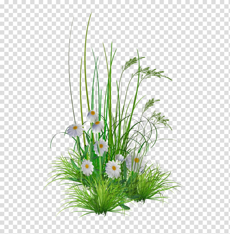+ &#;s  [ Full] |, green fountain grass with rabbits transparent background PNG clipart