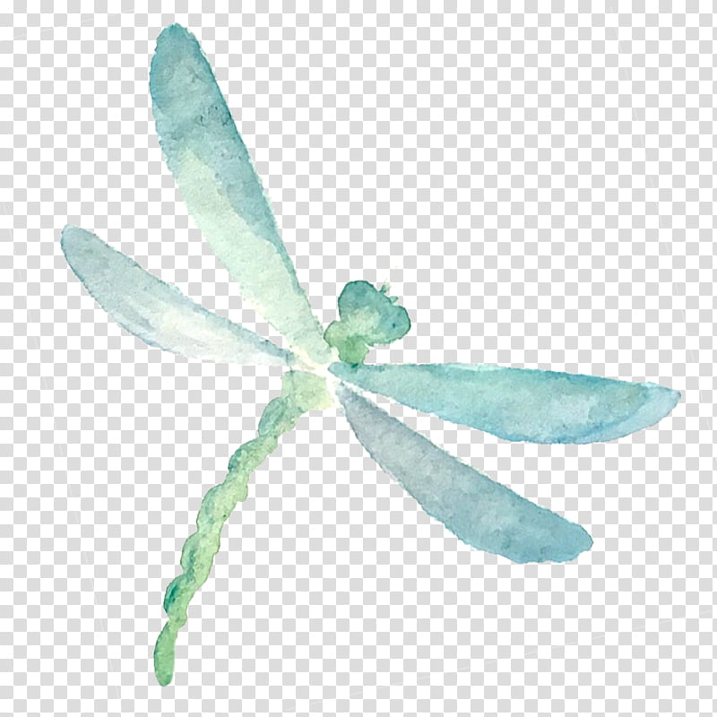 Feather, Dragonflies And Damseflies, Dragonfly, Turquoise, Green, Leaf, Teal, Insect transparent background PNG clipart