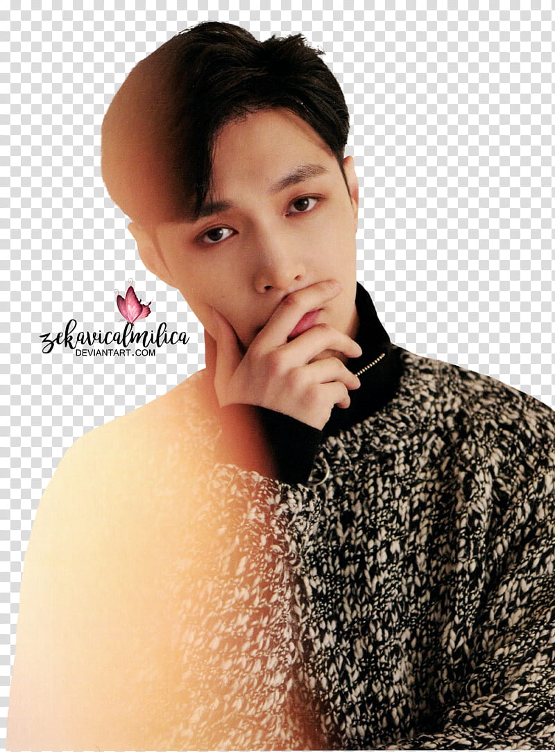 EXO Lay For Life transparent background PNG clipart