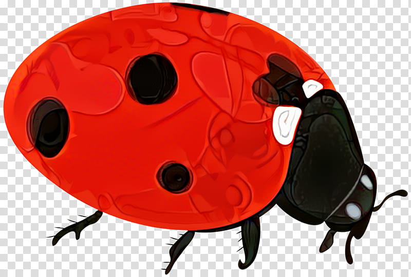 Bird, Beetle, Lady Bird, Ladybug, Insect, Leaf Beetle, Red Bugs transparent background PNG clipart