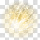 Puntos de Luz, white and yellow sparkling plant transparent background PNG clipart