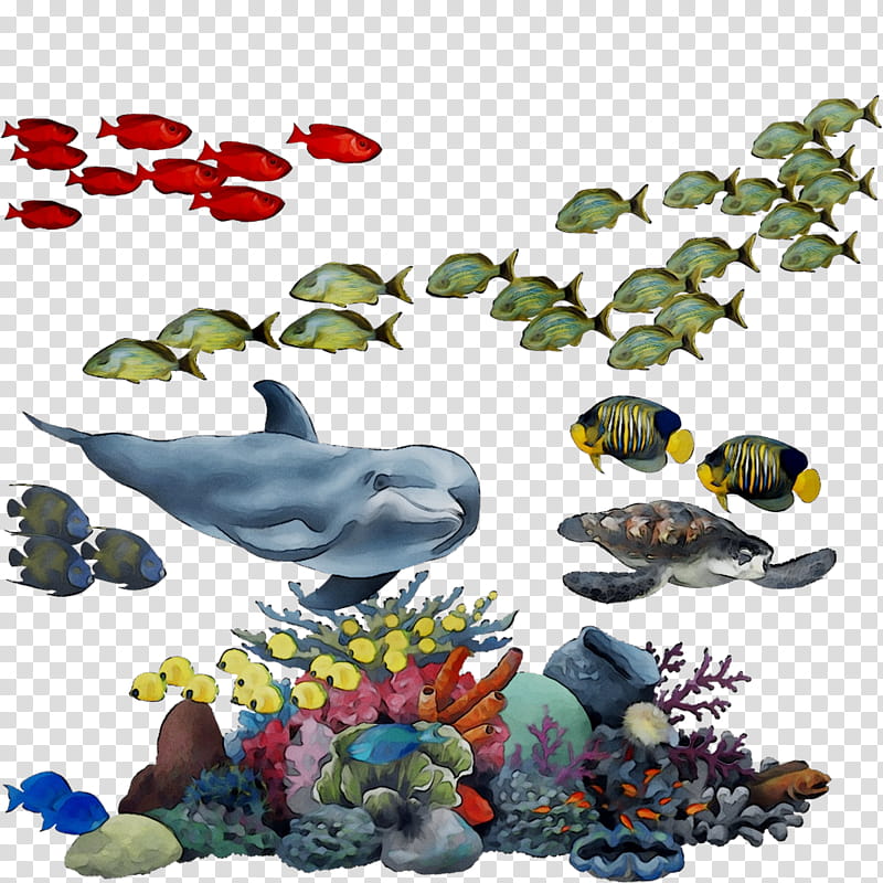 Coral Reef, Fish, Plant, Animal Figure, Coral Reef Fish transparent background PNG clipart