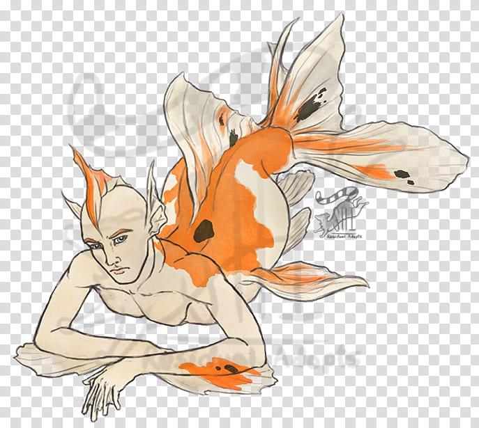 Merman Goldfish Auction Closed, orange and beige fish illustration transparent background PNG clipart