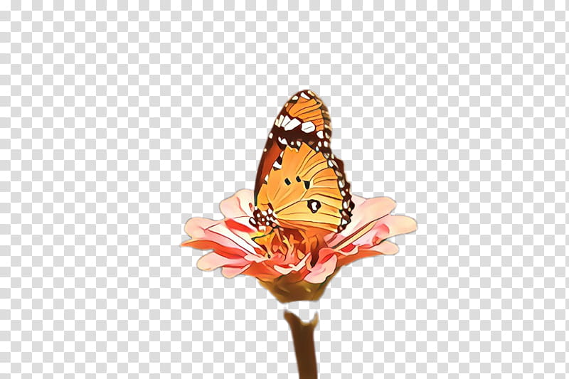 Monarch butterfly, Cartoon, Cynthia Subgenus, Insect, Moths And Butterflies, American Painted Lady, Orange, Pollinator transparent background PNG clipart