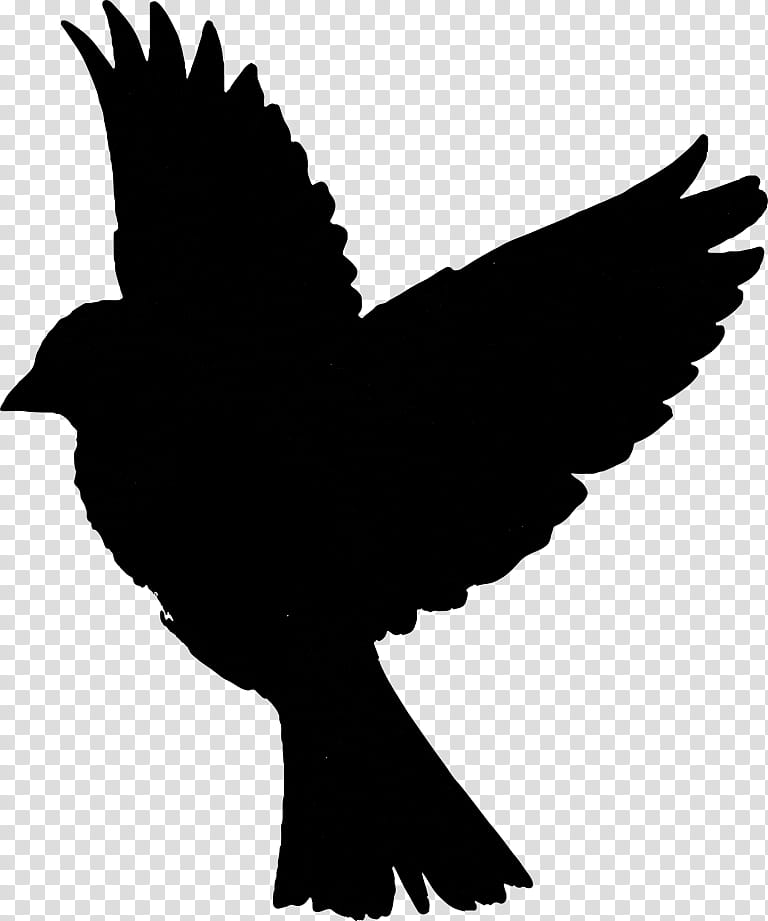 Bird Silhouette, Beak, Feather, Landfowl, Wing, Blackandwhite, Logo transparent background PNG clipart