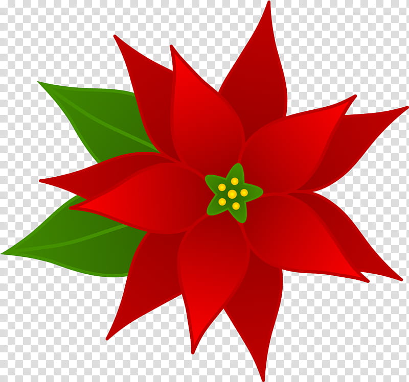 Christmas Poinsettia, Christmas, Christmas Day, Document, Plants, Wreath, Flower, Flora transparent background PNG clipart