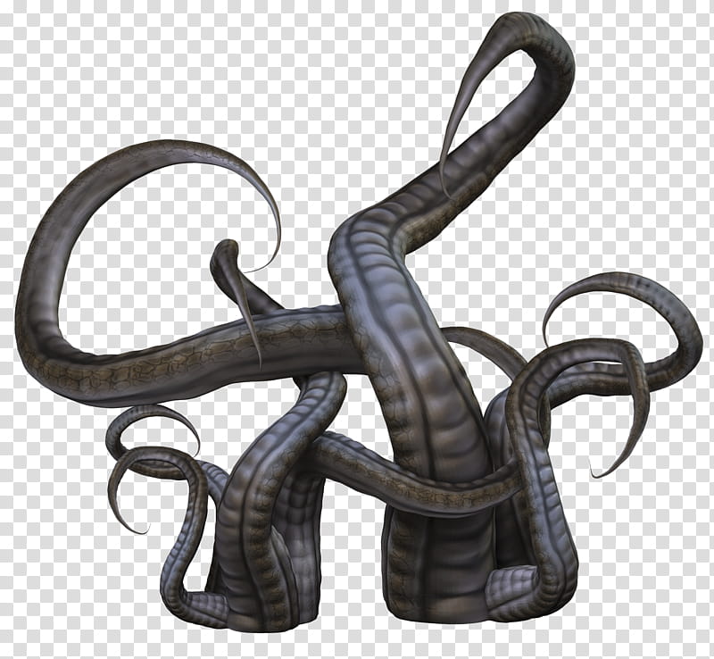tentacles transparent background PNG clipart
