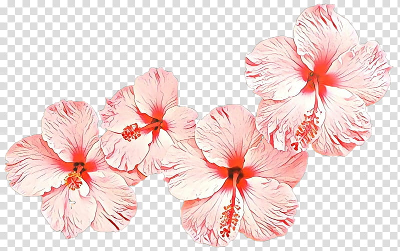 flower hawaiian hibiscus petal pink plant, Cartoon, Flowering Plant, Chinese Hibiscus, Geranium transparent background PNG clipart