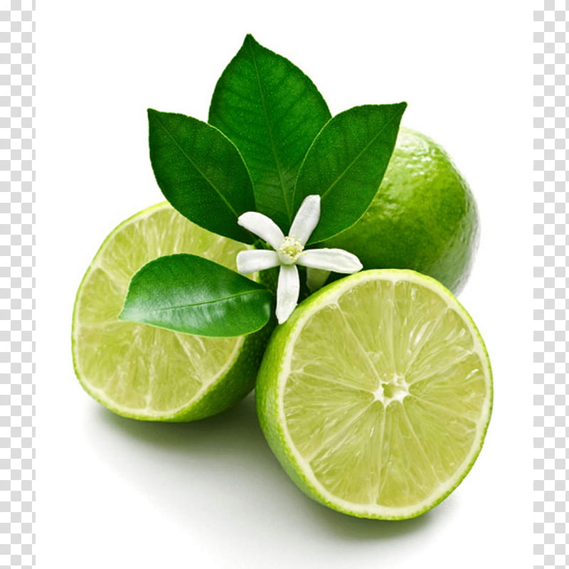 persian lime key lime lime citrus sweet lemon, Plant, Leaf, Food, Kaffir Lime transparent background PNG clipart