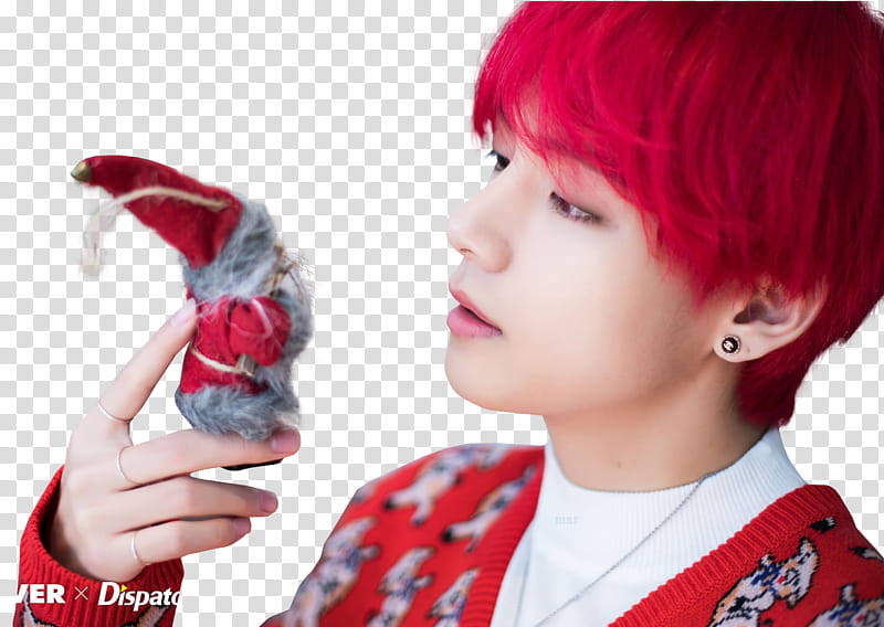 BTS XMAS DISPATCH  transparent background PNG clipart