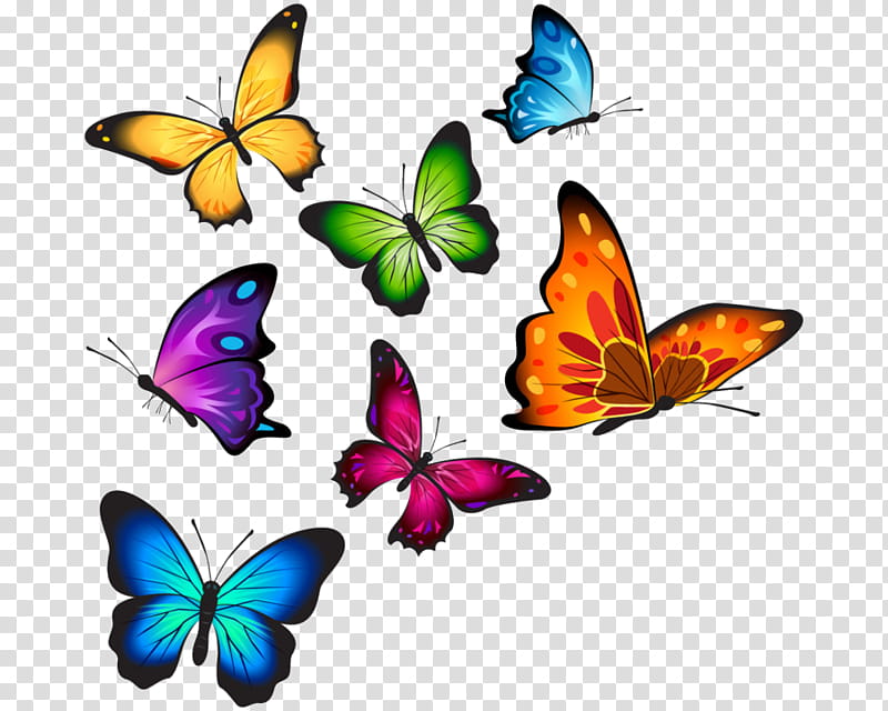 Butterfly Drawing, Wall Decal, Tshirt, Sticker, Shape, Color, Vinyl Group, Painting transparent background PNG clipart