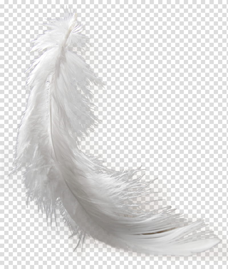 Princess, white feather screenshot transparent background PNG clipart