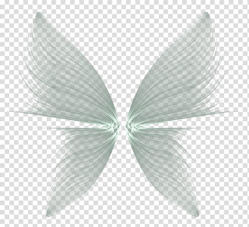 grey wing, gray butterfly wings illustration transparent background PNG clipart
