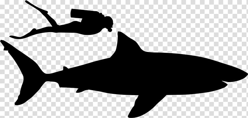 Great White Shark, Silhouette, Black M, Fin, Fish, Requiem Shark, Killer Whale, Cetacea transparent background PNG clipart