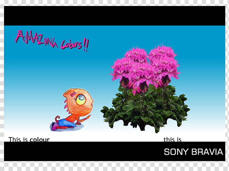 Sony Bravia Poster, Flowers transparent background PNG clipart