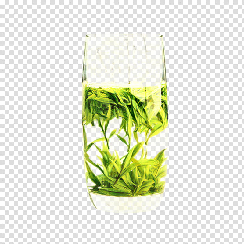 Grass, Longjing Tea, Grasses, Aquarium, Tea Plant, Herb, Huangshan Maofeng, Aquarium Decor transparent background PNG clipart