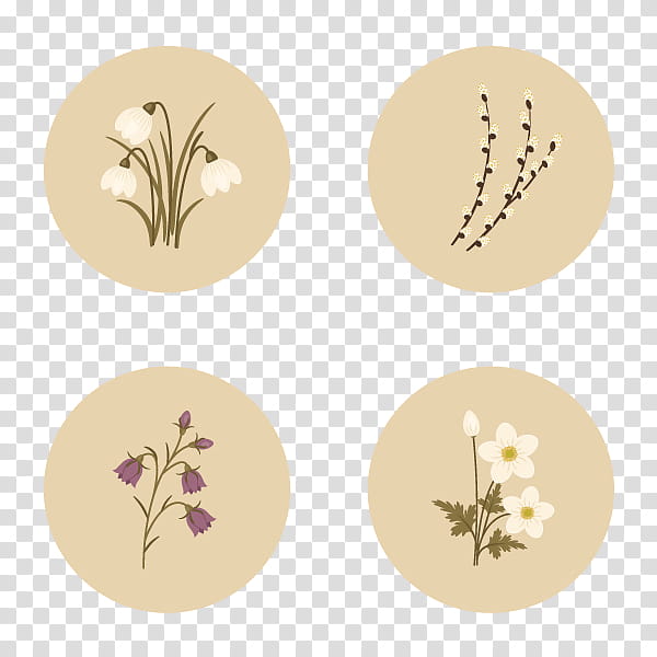 Flower Illustration, Drawing, Tutorial, Leaf, Plate, Beige, Branch, Plant transparent background PNG clipart