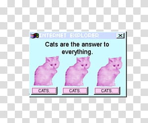 Aesthetic, Internet Explorer cats are the answer to everything transparent background PNG clipart