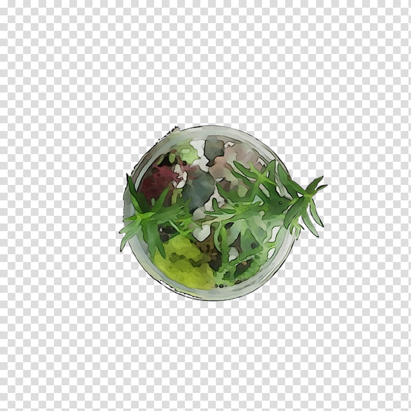 Flower, Herb, Food, Plant, Cuisine, Dish transparent background PNG clipart