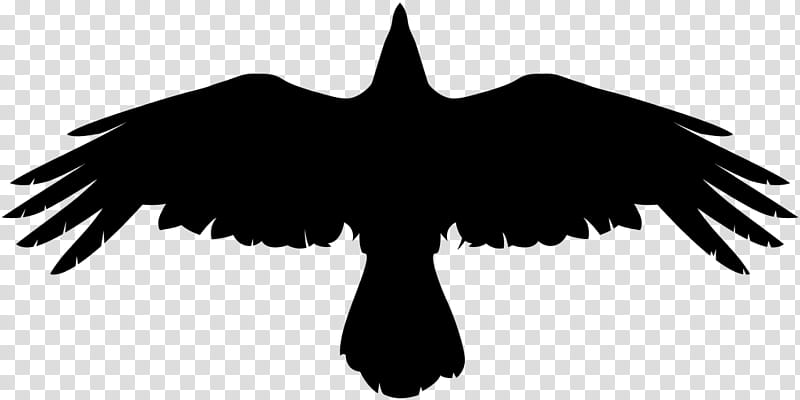 Eagle Logo, Fotolia, Wing, Falconiformes, Stencil, Bird transparent background PNG clipart