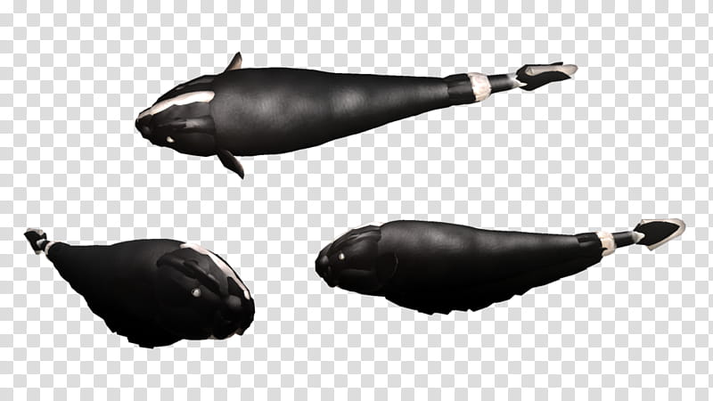 SPORE creature: Black Ghost Knifefish transparent background PNG clipart