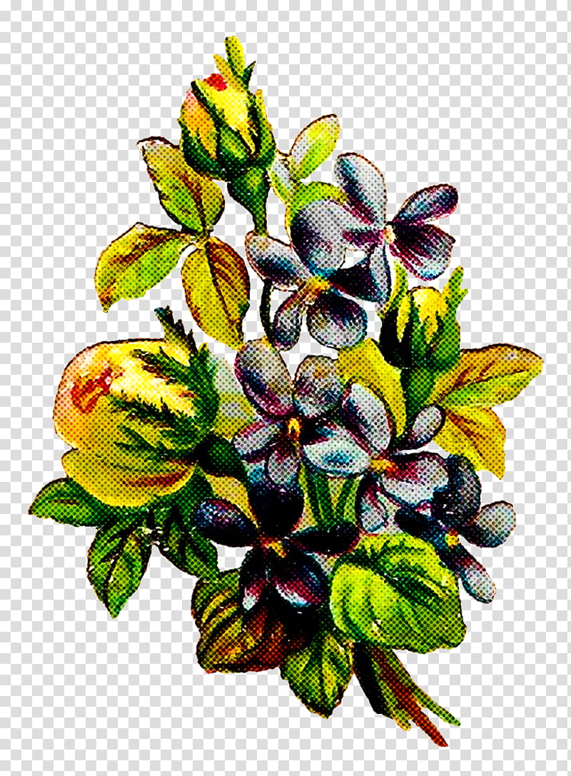 flower plant leaf anthurium pattern, Wildflower, Magnolia, Bouquet transparent background PNG clipart