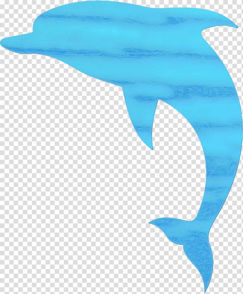 Whale, Shortbeaked Common Dolphin, Wholphin, Roughtoothed Dolphin, Longbeaked Common Dolphin, Turquoise, Biology, Bottlenose Dolphin transparent background PNG clipart