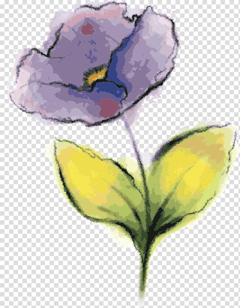 flower yellow plant petal watercolor paint, Drawing Flower, Watercolor Flower, Floral Drawing, Violet, Tulip, Iris, Wildflower transparent background PNG clipart