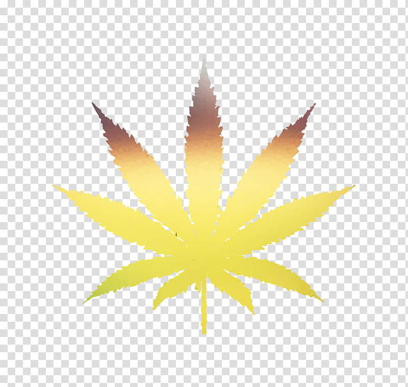 Family Tree, Cannabis, Medical Cannabis, Oaksterdam University, Cannabis Shop, Cannabis Social Club, Hashish, Leaf transparent background PNG clipart