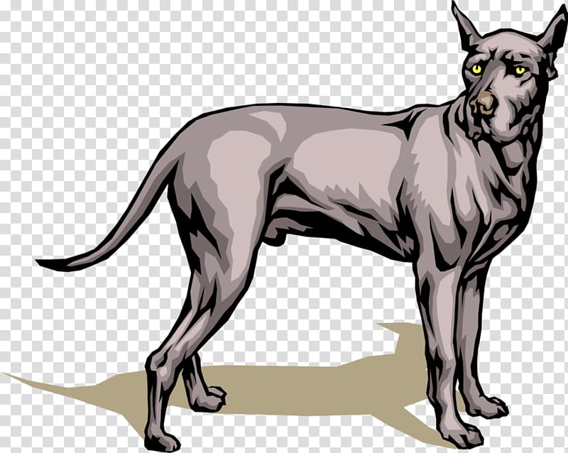 Cartoon Dog, Great Dane, Windows Metafile, Whiskers, Line Art, Ancient Dog Breeds, Tail, Bull And Terrier transparent background PNG clipart