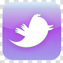 Redes Sociales , Icon Morado Twitter transparent background PNG clipart