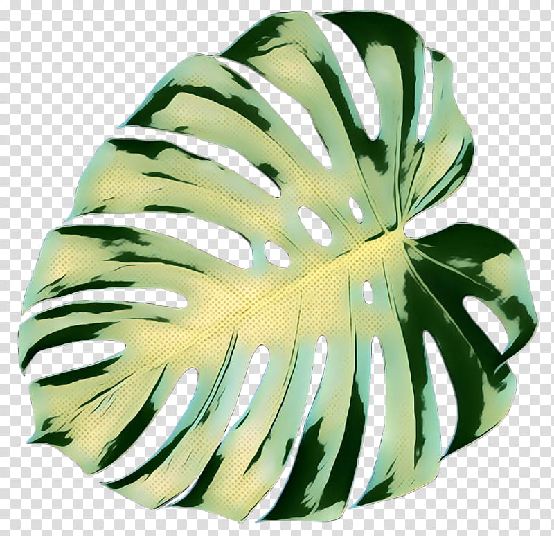 Green Leaf, Pop Art, Retro, Vintage, Plants, Monstera Deliciosa, Alismatales, Flower transparent background PNG clipart