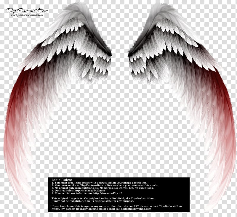 Arch Angel Wings Red Tinge, white and gray wings illustration transparent background PNG clipart