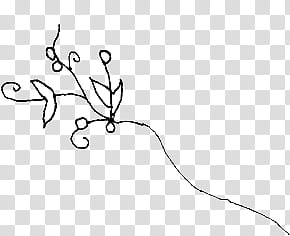 Doodling s, white and black flower illustration transparent background PNG clipart