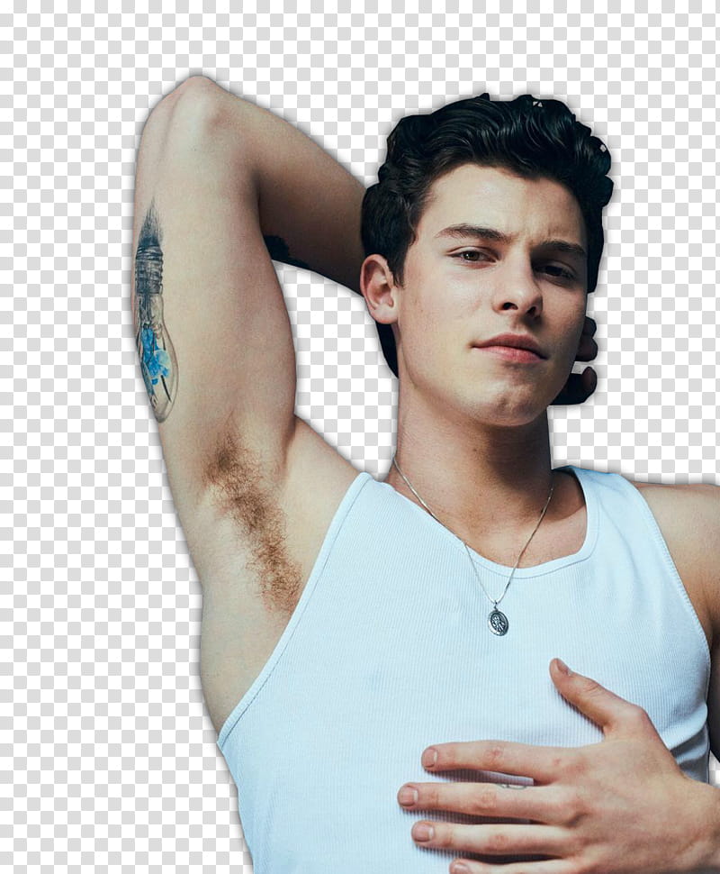 Shawn Mendes transparent background PNG clipart