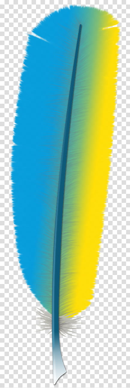 DSK Feathers and Fins, blue and yellow feather illustration transparent background PNG clipart