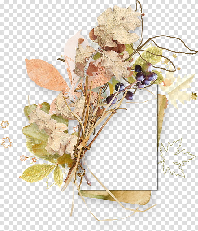 Flowers, Floral Design, BORDERS AND FRAMES, Frames, Autumn, Flower Bouquet, Decoupage, Cut Flowers transparent background PNG clipart