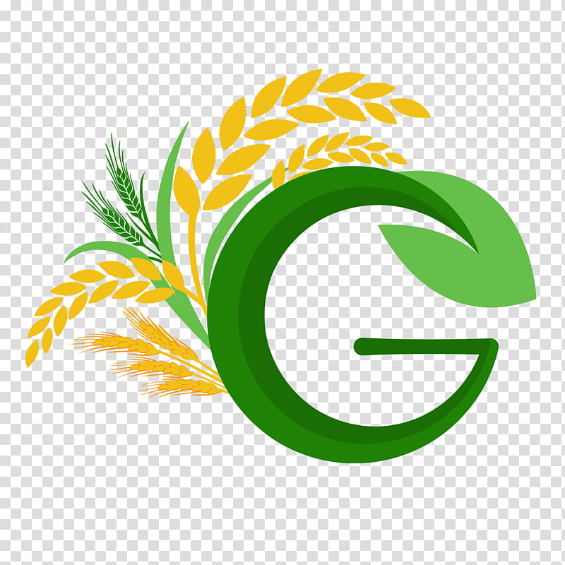 Green Leaf Logo, Rice, Drawing, Food, Oat, Cereal, Wheat, Yellow transparent background PNG clipart