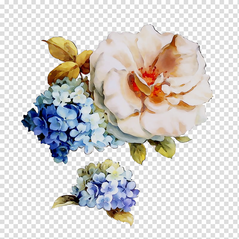 Watercolor Floral, Garden Roses, Floral Design, Cut Flowers, Hydrangea, Flower Bouquet, Artificial Flower, Petal transparent background PNG clipart