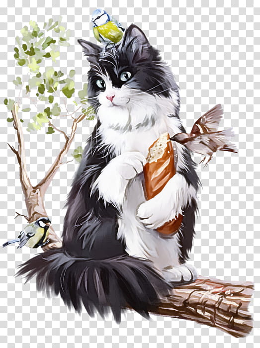 cat small to medium-sized cats whiskers norwegian forest cat black cat, Small To Mediumsized Cats, Tail, Maine Coon transparent background PNG clipart