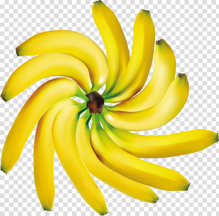 banana family banana yellow plant fruit, Saba Banana, Petal, Flower transparent background PNG clipart