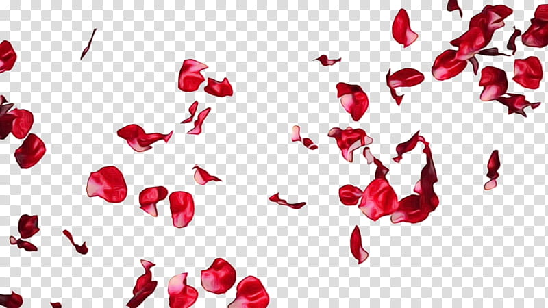 Love Background Heart, Petal, Rose, Flower, Tulip, Pink Rose, Web Design, Red transparent background PNG clipart