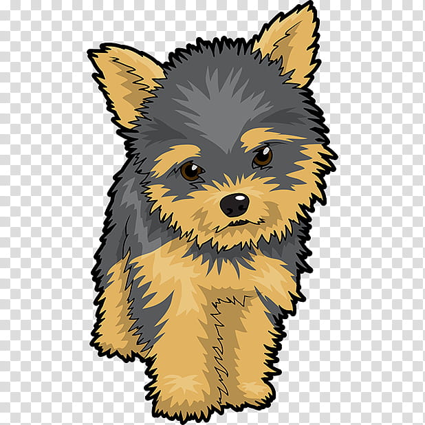 Dog Drawing, Yorkshire Terrier, Cairn Terrier, Puppy, Cartoon, Cuteness, Toy Dog, Snout transparent background PNG clipart