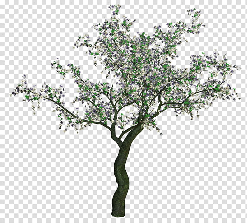 Various Flowers , white floral tree transparent background PNG clipart