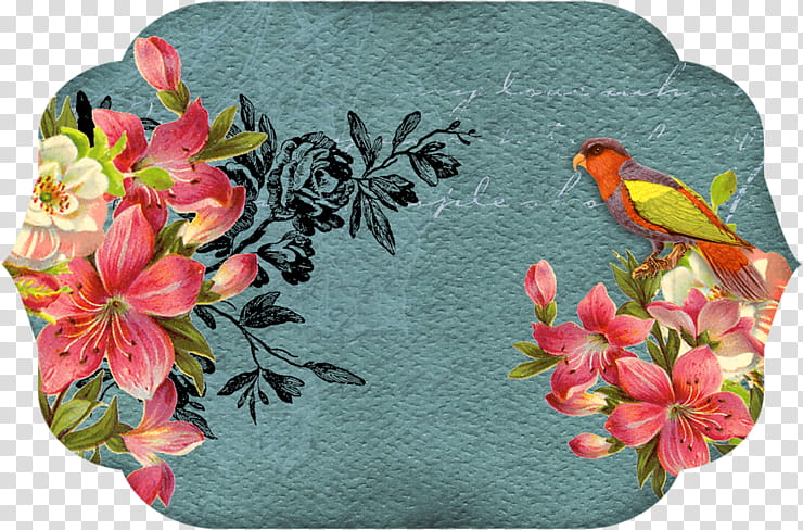 Floral Flower, Label, Etiquette, Textile, Floral Design, Frames, Price, Wall transparent background PNG clipart