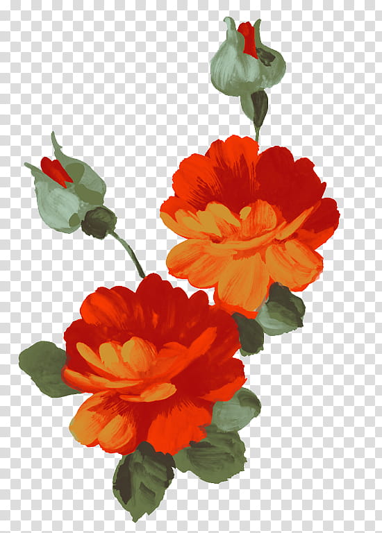 Watercolor Pink Flowers, Painting, Watercolor Painting, Embroidery, Ink Wash Painting, Chinese Painting, Drawing, Orange transparent background PNG clipart