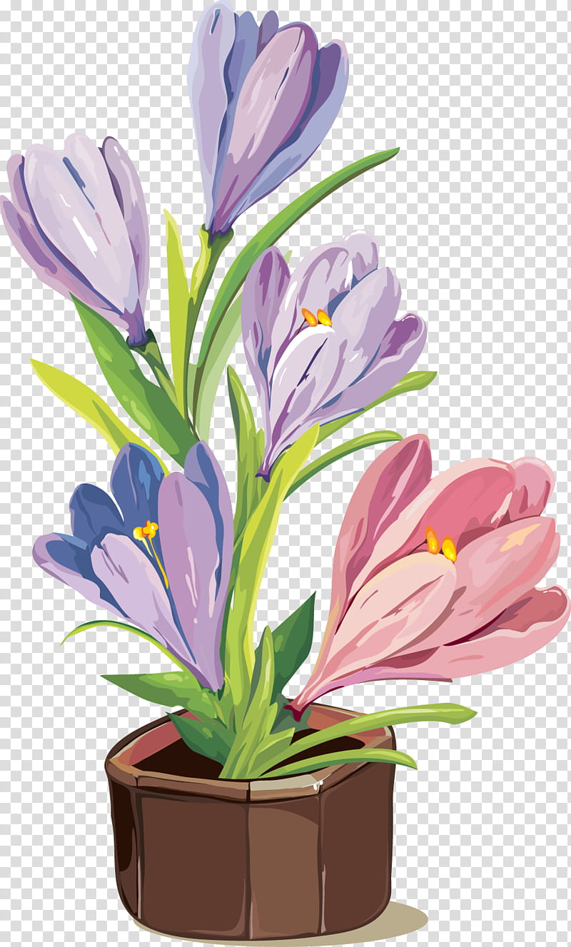 flower plant crocus petal spring crocus, Drawing Flower, Watercolor Flower, Floral Drawing, Snow Crocus, Houseplant, Cut Flowers, Iris Family transparent background PNG clipart